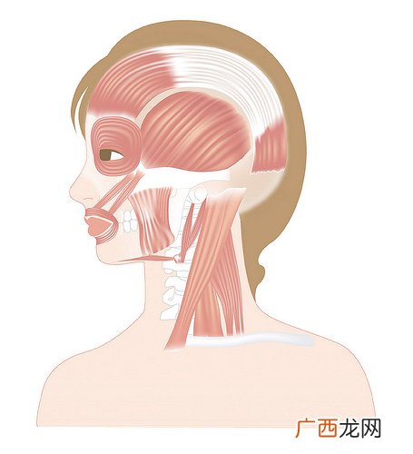 前额和两侧头痛是什么原因 对症按摩可缓解