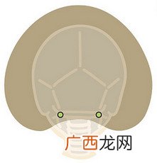 手麻无力被痛醒 常见手部疼痛按摩法