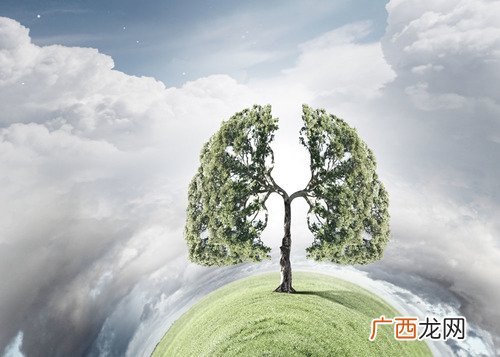 养肺的食物品种多 健肺或许更有效