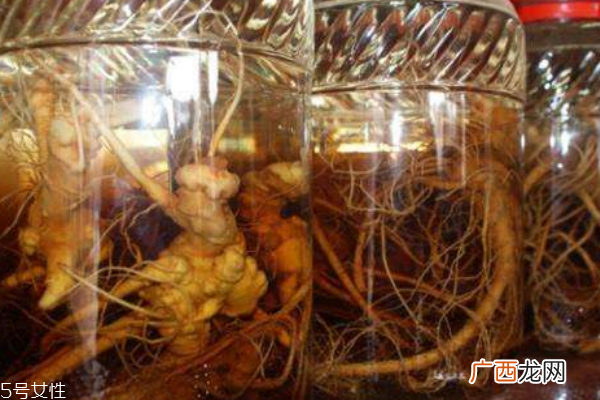中医养生食疗法 四大药膳抗衰老