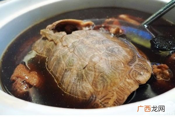 乌龟有什么赢价值呢 乌龟怎么做好吃呢
