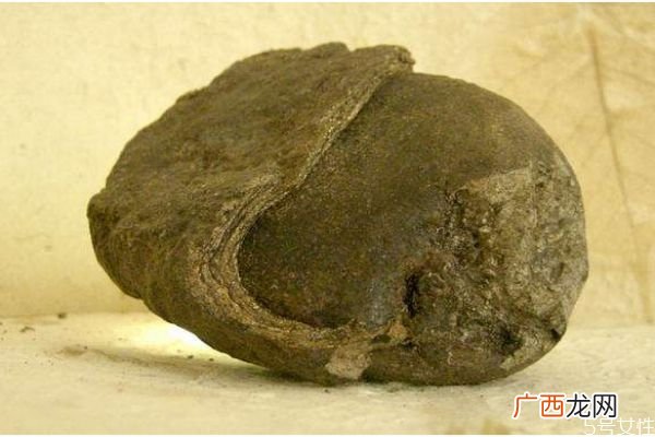 什么是龙涎香呢 龙涎香有什么作用呢