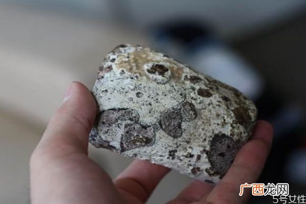 什么是龙涎香呢 龙涎香有什么作用呢