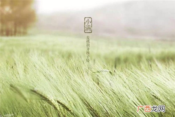 小满见三新是哪三新 小满见三新是什么意思
