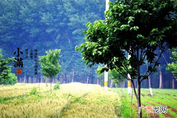 小满见三新是哪三新 小满见三新是什么意思