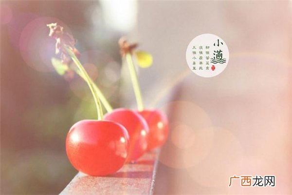 小满见三新是哪三新 小满见三新是什么意思