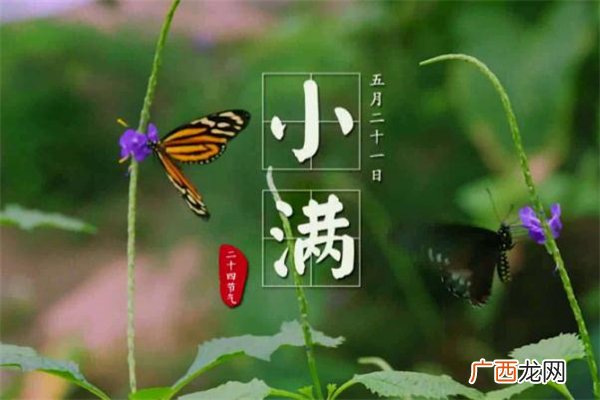 小满有什么民俗活动 小满节气的民俗