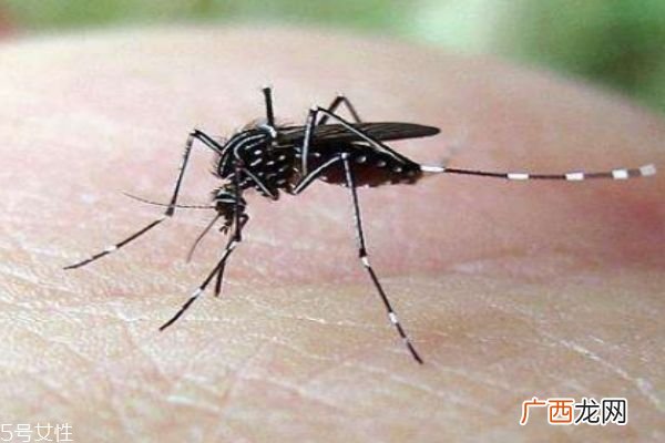 蚊子一般在什么季节比较多呢 蚊子喜欢什么血型的人群呢