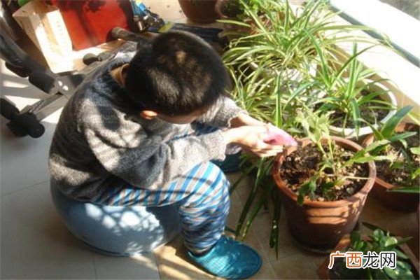 浇花是早上还是晚上 浇花什么时候浇