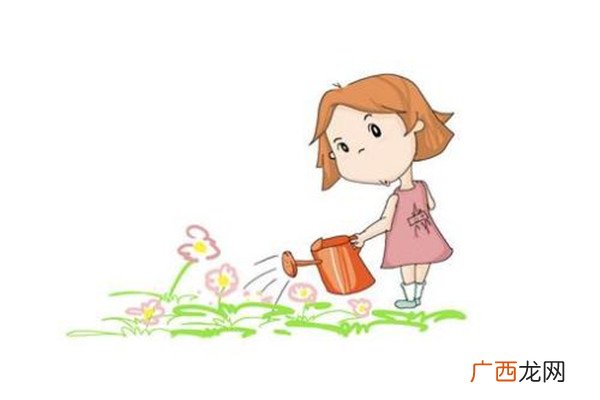 浇花是浇叶子还是根 浇花怎么浇