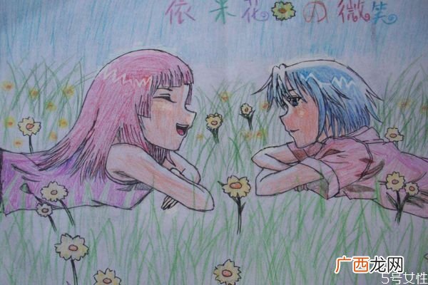 依米花是一种什么植物呢 依米花有什么作用呢