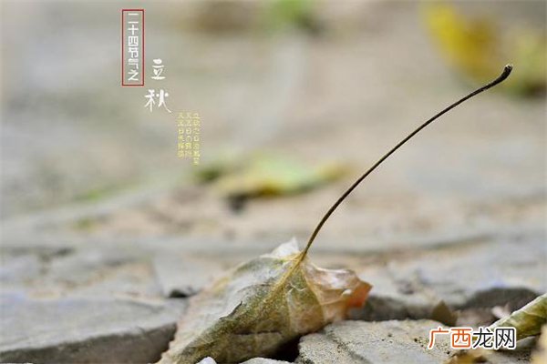 立秋无雨是空秋有什么说法 立秋不下雨真的影响收成吗