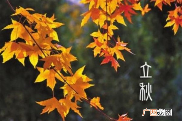 立秋早晚有什么说法 立秋下雨有说法吗
