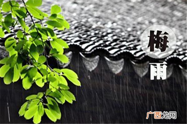 梅雨季节怎么防潮 梅雨季节防潮的方法