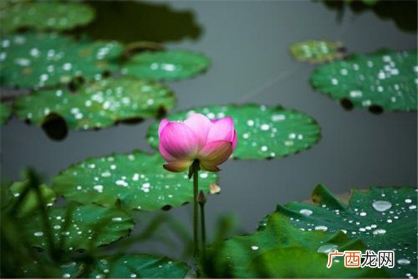 梅雨季节怎么防潮 梅雨季节防潮的方法
