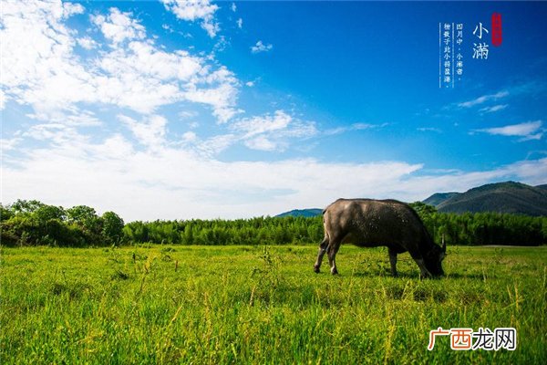小满前后种瓜种豆什么意思 种瓜点豆指什么