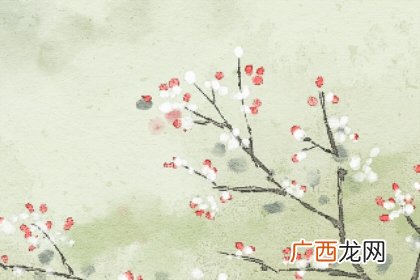 聊天女生一直发表情包怎么办？如何恢复正常聊天