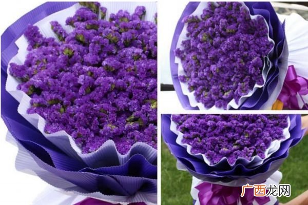 勿忘我的花语是什么呢 勿忘我的市场价格是怎么样的呢
