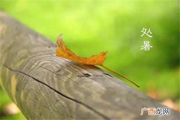 处暑是什么意思 处暑还热吗