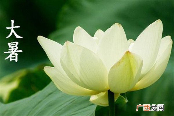 大暑有什么风俗 大暑有什么讲究
