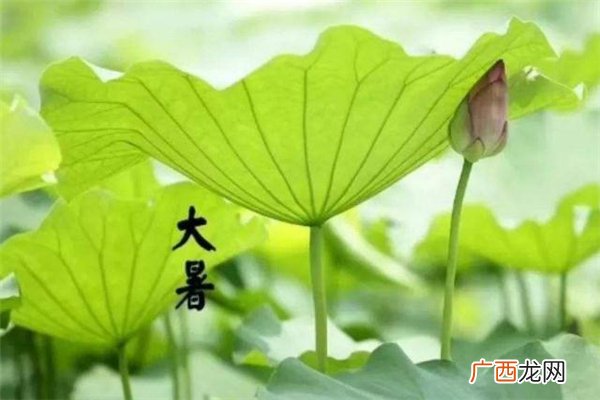 大暑过后会凉快吗 大暑过后还要热多久