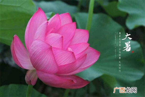 大暑过后会凉快吗 大暑过后还要热多久