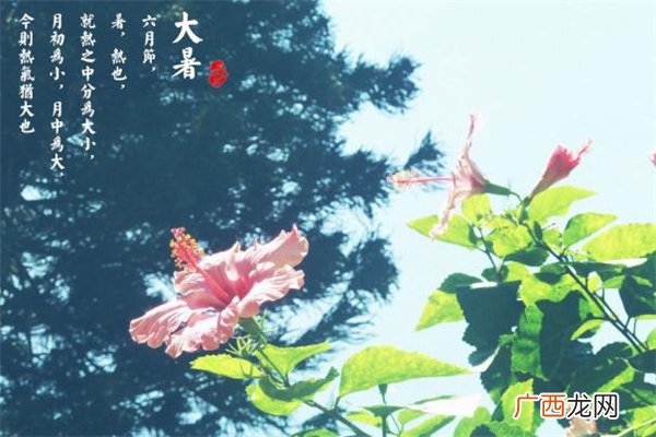 大暑过后会凉快吗 大暑过后还要热多久