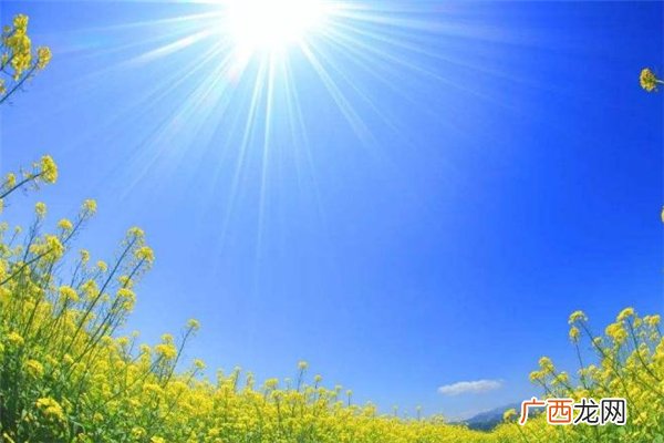 中伏为什么有十天有二十天 中伏为什么有两个
