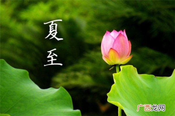 夏至为什么不是最热的 夏至是头伏吗