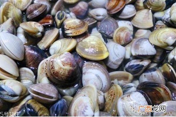 冬天吃什么海鲜好 冬天吃海鲜的禁忌