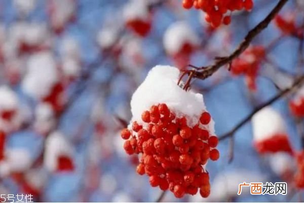 秋冬季如何养生 冬季养生小常识
