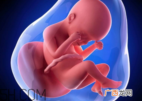 元旦同房怀孕什么时候 元旦怀孕的什么时候生