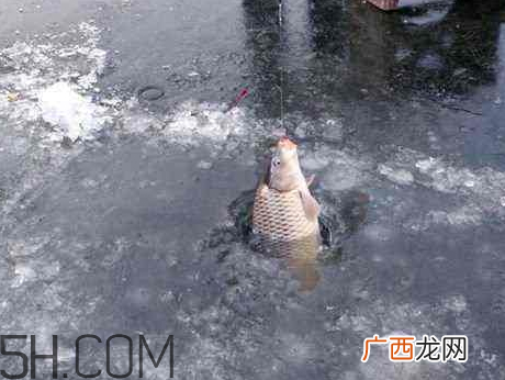立冬后还好钓鱼吗 立冬前后钓鱼技巧