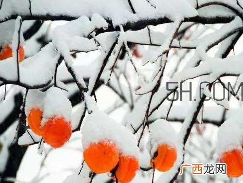 霜降会下雪吗 霜降会下霜吗