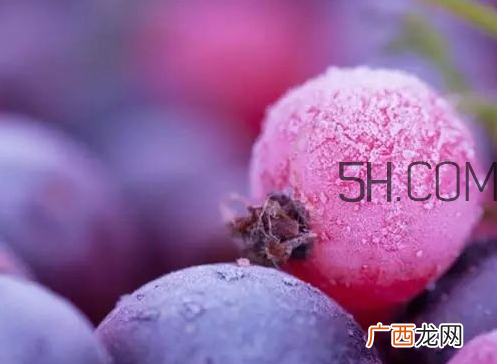 霜降会下雪吗 霜降会下霜吗
