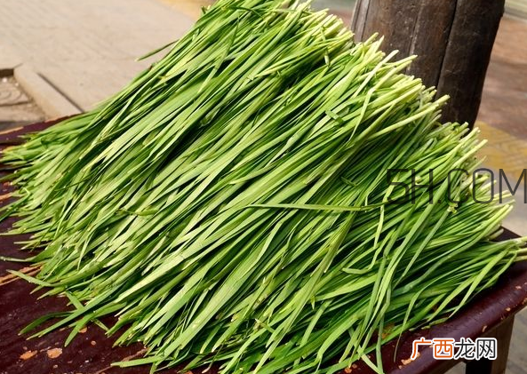 立秋后可以种韭菜吗？怎样种韭菜？