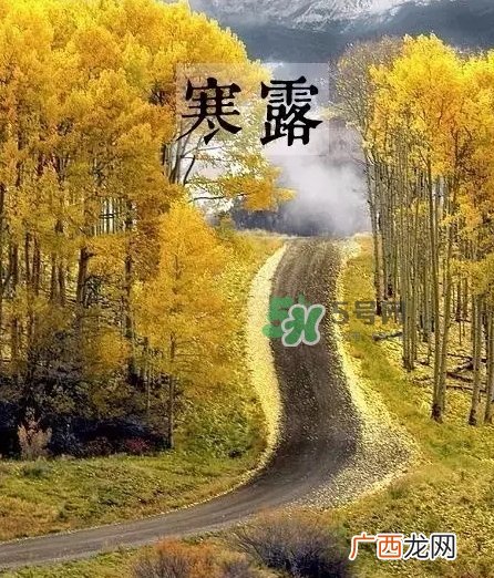 白露是寒露吗？白露和寒露的区别
