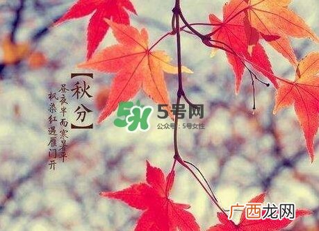 秋分是秋天到了吗_秋分开始入秋了吗_秋分是秋天开始吗
