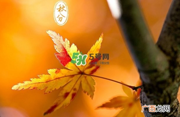 秋分是秋天到了吗_秋分开始入秋了吗_秋分是秋天开始吗
