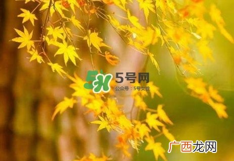秋分是秋天到了吗_秋分开始入秋了吗_秋分是秋天开始吗