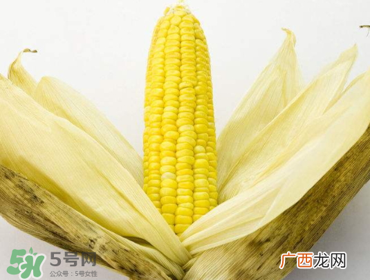 九月份能种玉米吗？玉米九月份还可以种吗？