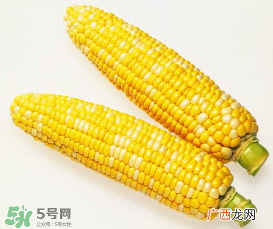 九月份能种玉米吗？玉米九月份还可以种吗？