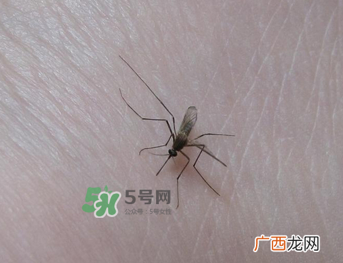 九月份还有蚊子吗？9月份还有蚊子吗？