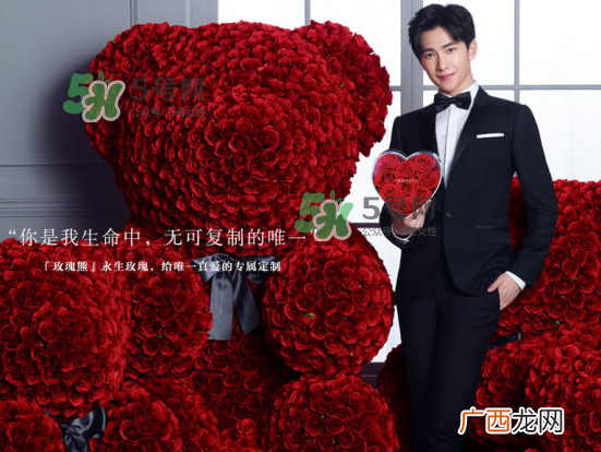 roseonly熊怎么样?roseonly玫瑰熊好看吗?