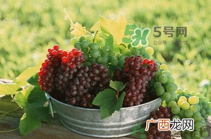 秋天成熟的水果有哪些？秋天吃水果有哪些禁忌