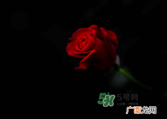 七夕可以怎样赚外快_七夕卖什么赚钱_卖花赚钱吗