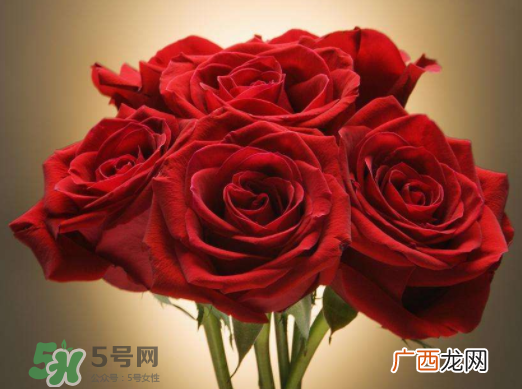 七夕可以怎样赚外快_七夕卖什么赚钱_卖花赚钱吗