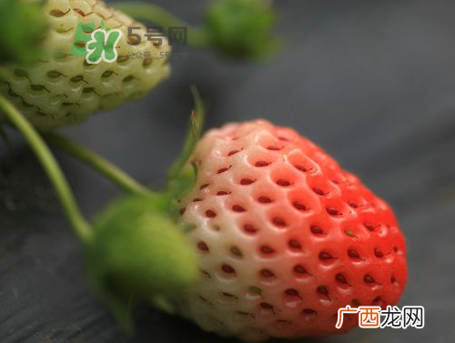 八月份还有草莓吗？8月份还有草莓吗？