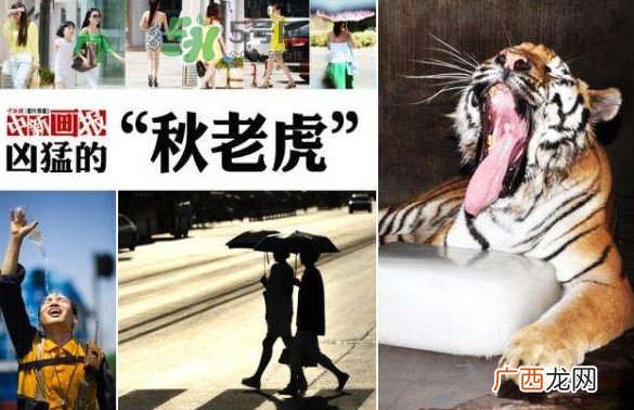 秋老虎有多热？秋老虎一般是怎么算的？