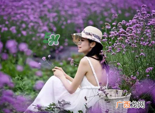 八月份还有薰衣草吗？8月份还有薰衣草吗？